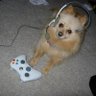 Zeflr's profile picture