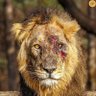 حیدرشاه اندرآبی profil fotoğrafı