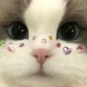ぴ profil fotoğrafı