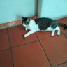 Vgto profil fotoğrafı