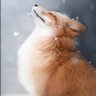 Reaver's profile picture