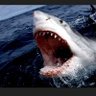 Profilbild von Salt Waters
