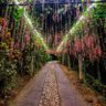 Фото профиля wanderlust3369