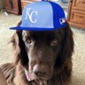 Dustin G's profile picture