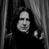 Severus Snape 的头像