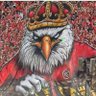 Mohamed Makram71181's profile picture