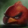 Profilbild von Enricog