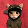JL Miaou profil fotoğrafı