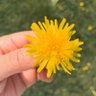 ✪ profil fotoğrafı
