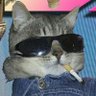 Darwin Jr profil fotoğrafı
