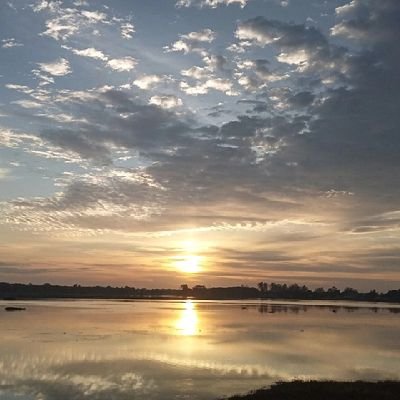 hwanxex1's profile picture