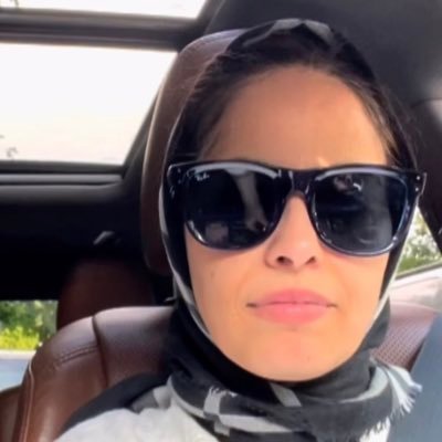 LailaAlarian's profile picture