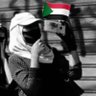 Noon #Sudan #Sudan_War_Updates's profile picture