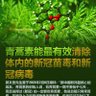 灭共稻草(红叶) 的头像