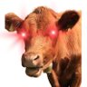 Profilbild von Raw Milk Maximalist