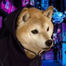 zumi's profile picture