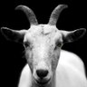 S҉U҉B҉ ҉M҉U҉D҉E҉R҉E҉R҉ profil fotoğrafı