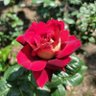 Фото профиля happiness?