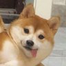 Mqrtin Sqlqzqr's profile picture