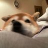 ^_^'s profile picture