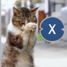 Фото профиля COIN CAT
