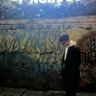 yanbin Hoàng sơn's profile picture