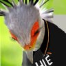 chovy win's profile picture