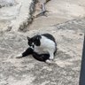 Ximenaconx profil fotoğrafı