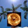 luminal_sheen's profile picture