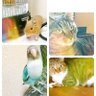 Profilbild von は や た ツ