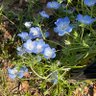 Фото профиля ハジメ_24卒
