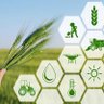 Agriculture Laboratory's profile picture