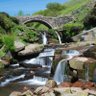 Фото профиля Three Shires Head