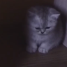 Astralifyy_ profil fotoğrafı