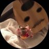 FN's profile picture