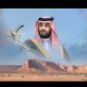abood's profile picture