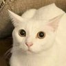 reina 🌈💫⭐️ profil fotoğrafı