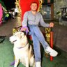 Mahmoud_akrab's profile picture