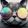 Billy Bobcat's profile picture