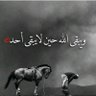 Almolsi 的头像