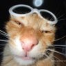 brmarsna profil fotoğrafı