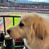 Фото профиля Luke Ortman 🏈🧀⚾️🍺🏀🍗