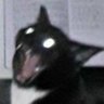 0sh31k0's profile picture