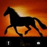 qcsg16888's profile picture