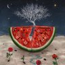 Nermine El Araby 的头像