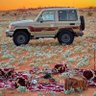 عزوز الشراري 的头像