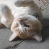 zsa | 🍉 profil fotoğrafı