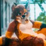 Foxycfreezy profil fotoğrafı
