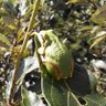 Фото профиля ちゃむ🍜🐸🐢🦎🐍