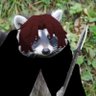 cyrus's profile picture
